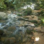 Cachoeira Dos Codós - Trindade - Paraty - RJ