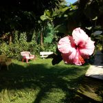 Pousada Aldeia Antiga - Trindade - Paraty