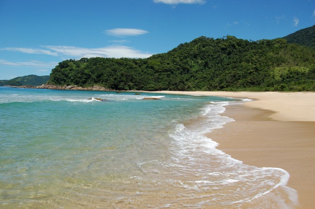 Praia Brava de Trindade