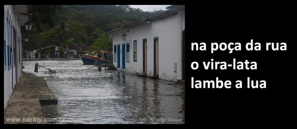 Frase Millor Fernandes