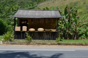 Quilombo do Campinho - Paraty - RJ
