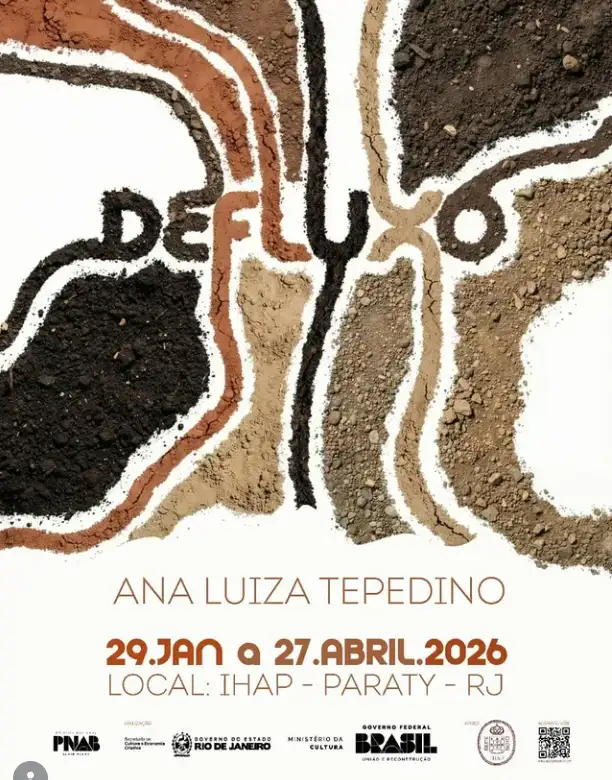 Ana Luiz Tepedino no IHAP